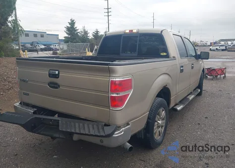 2009 Ford F-150 Xlt z USA, uszkodzony, nr VIN 1FTRW12889FA44630